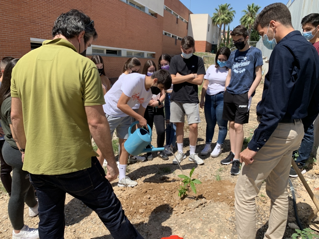 Los jóvenes de Alguazas se suman a la campaña #UnÁrbolPorEuropa plantando 200 pinos