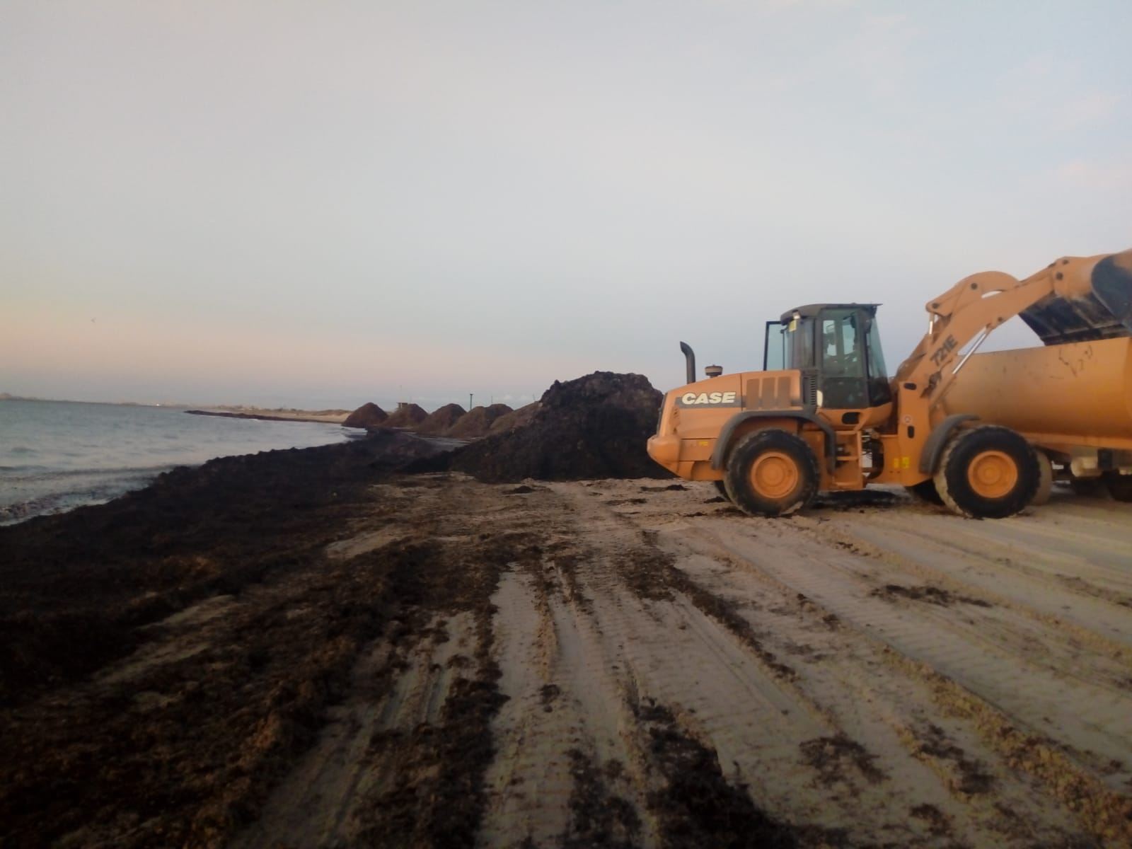 San Pedro del Pinatar destina más de medio millón de euros al refuerzo de los servicios básicos durante el verano