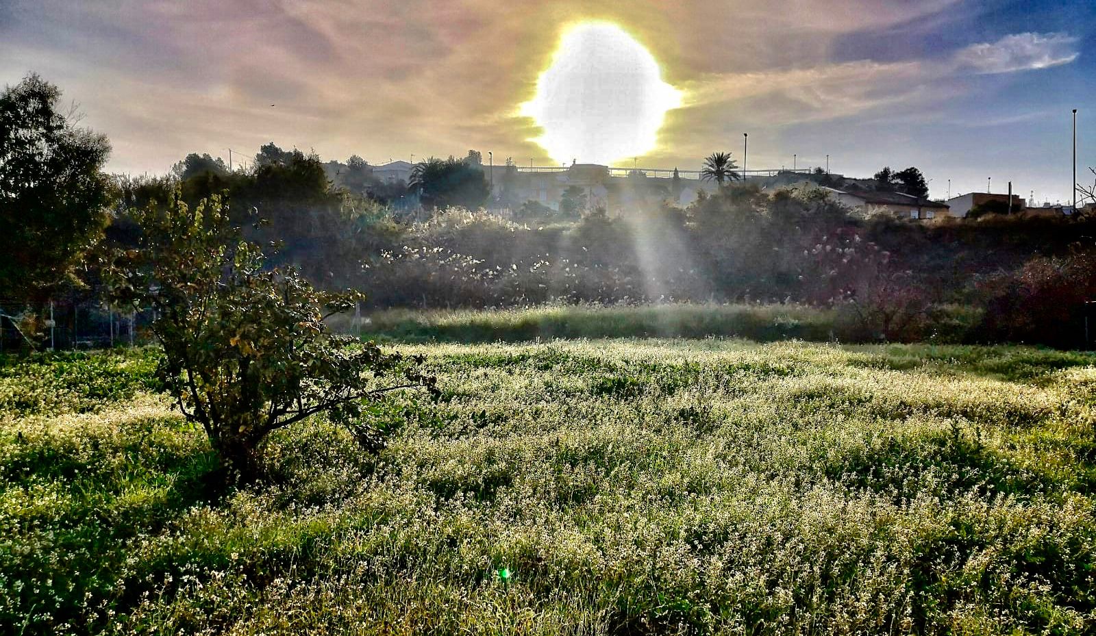 Un proyecto europeo de adaptación al cambio climático servirá para rehabilitar Los Cabezos en Lorquí