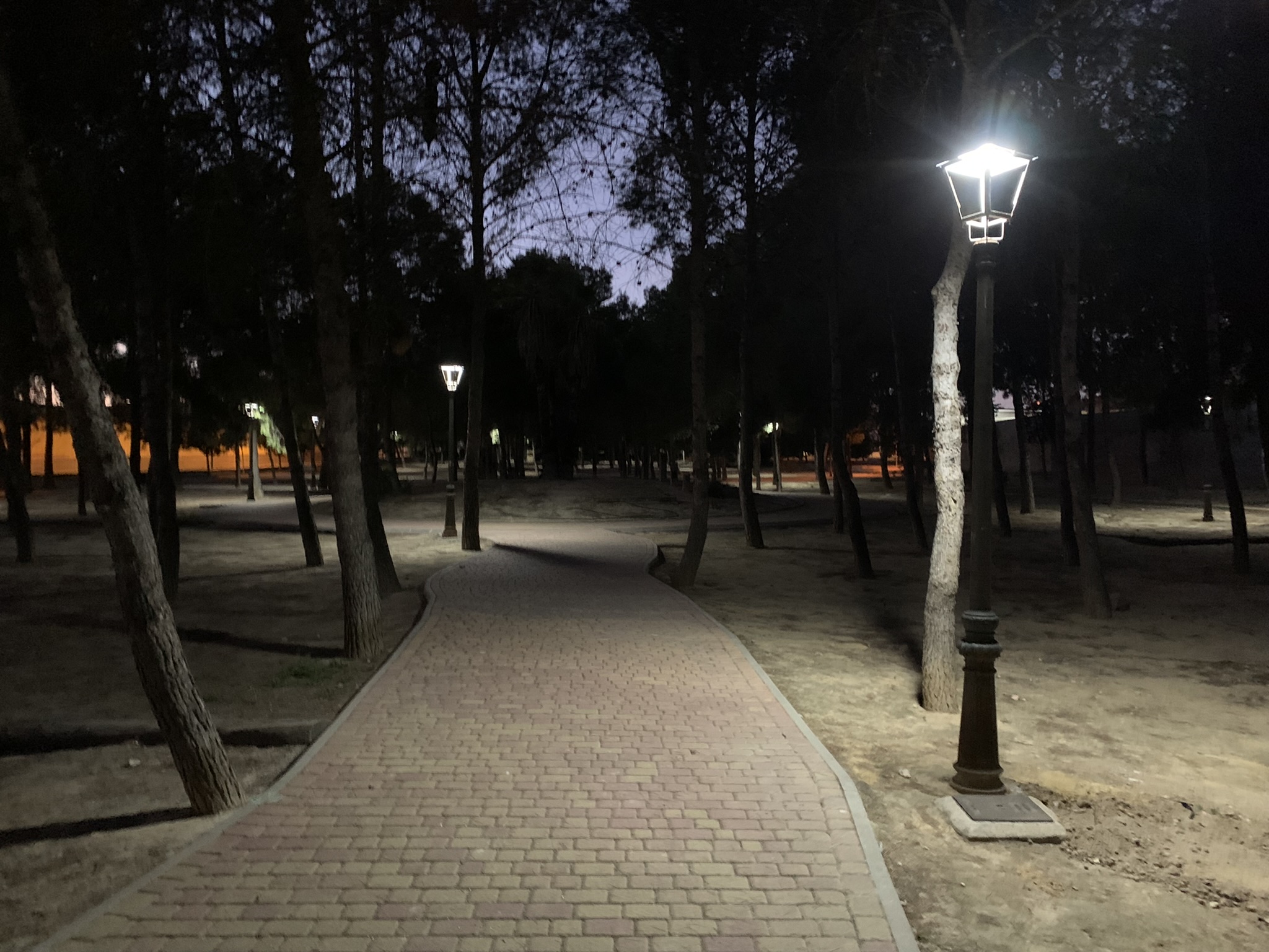 La Concejalía de Obras y Servicios restituye el alumbrado público en el Parque de La Pinada