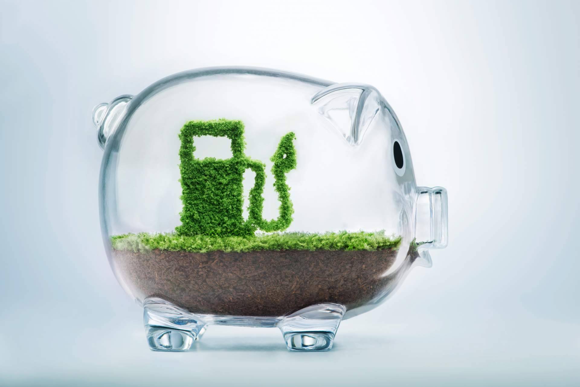El producto de Eco Carburante Motor para reducir el consumo y la contaminación