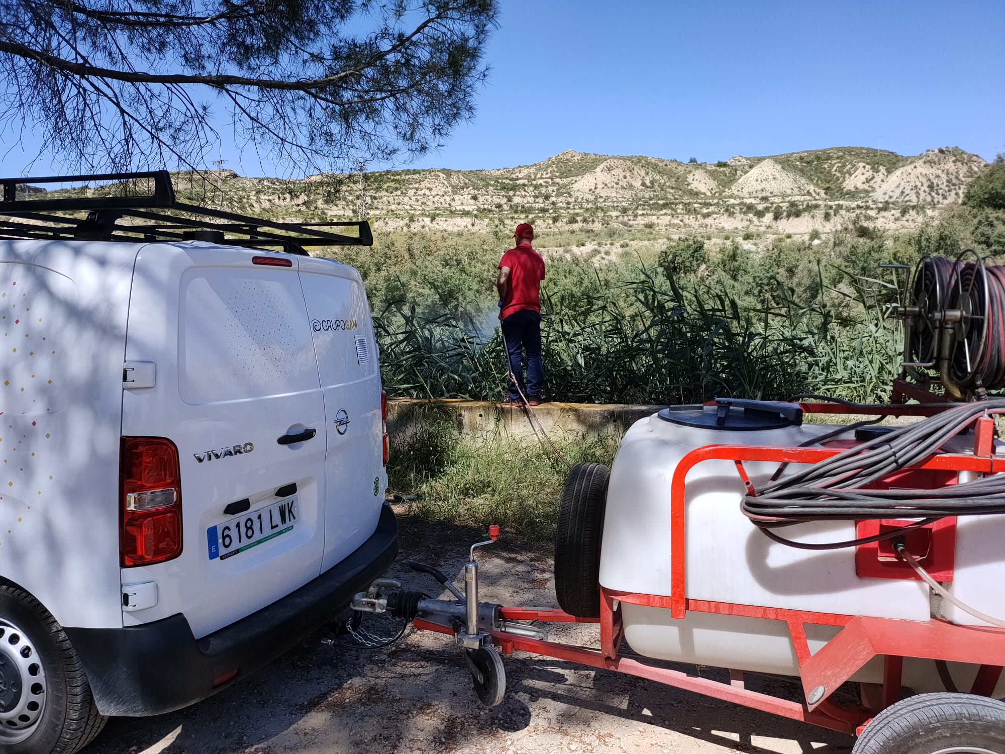 SERVICIOS | El Ayuntamiento lleva a cabo la campaña de fumigación en Mula y pedanías