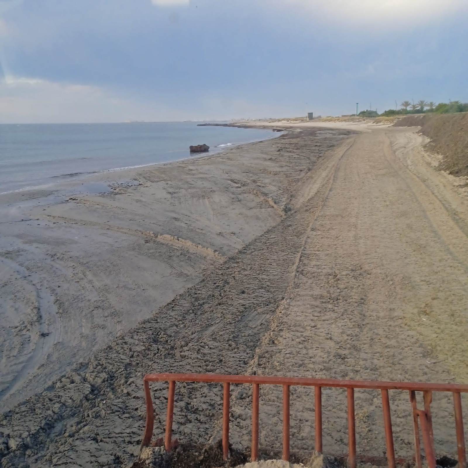 Retiran posidonia de las playas del Mediterráneo para mejorar el acceso al baño y reforzar los cordones dunares  