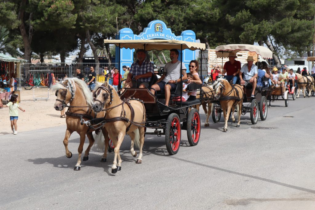 Carros, carruajes y jinetes recorren las calles de San Pedro del Pinatar con motivo de las fiestas patronales