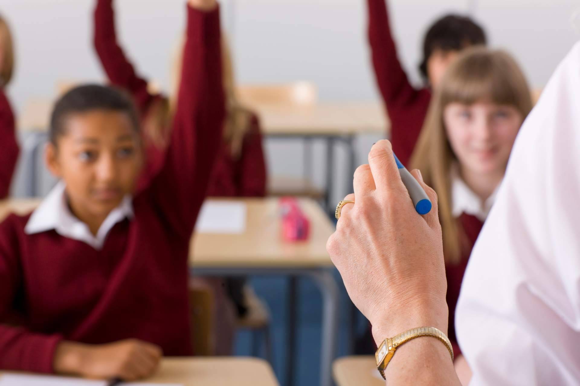 Servicios centrados en la campaña escolar, con LT Distribuidora