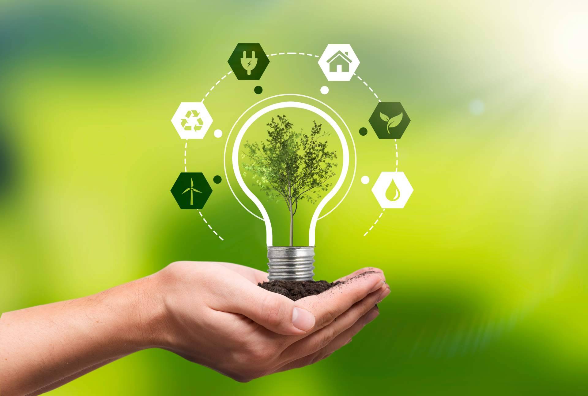 La importancia de los seguros de caución para las empresas de energías renovables de hoy, por Consorcio Europeo de Avales