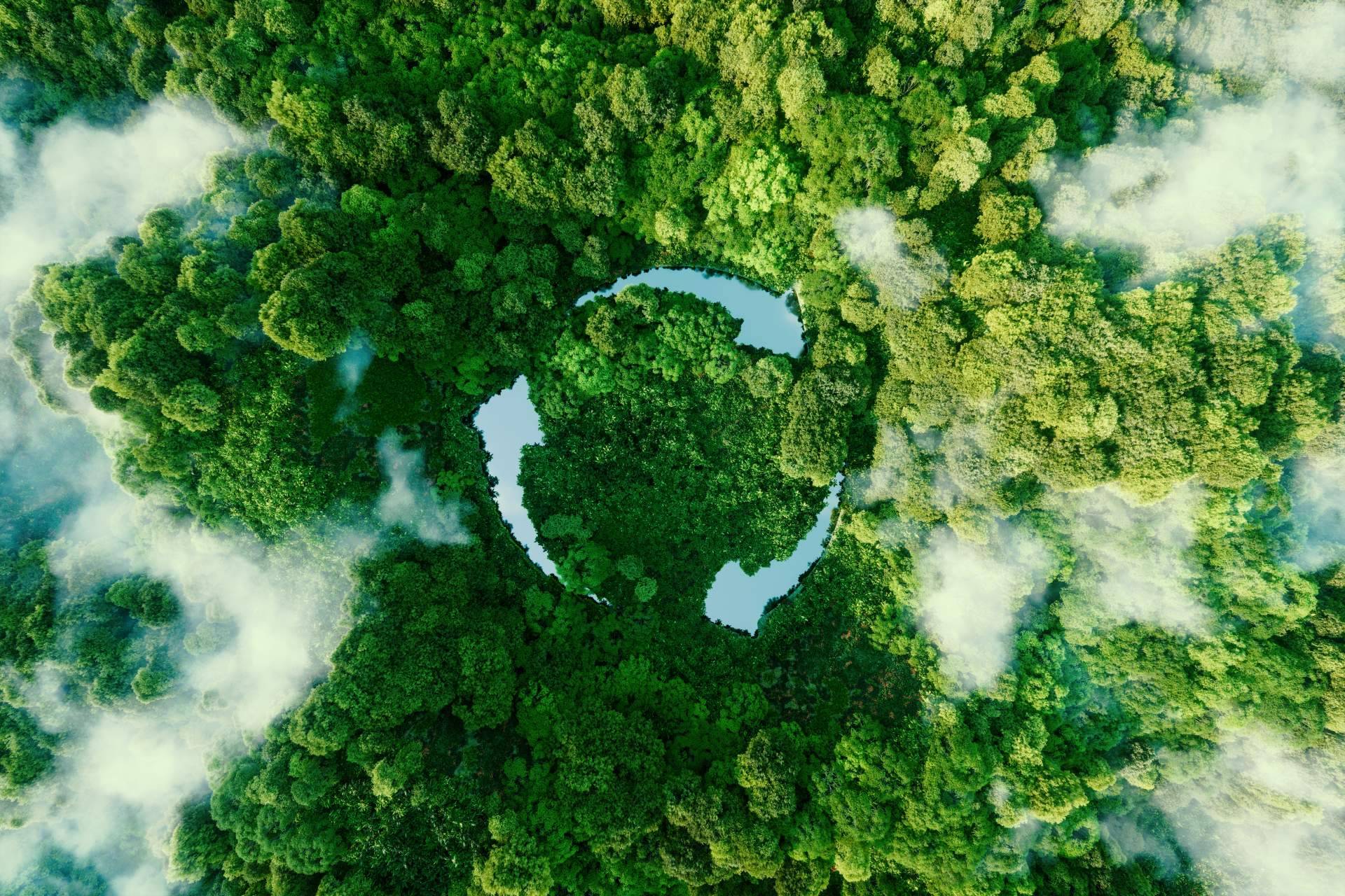La relevancia de la conciencia ambiental y la sostenibilidad en el sector empresarial