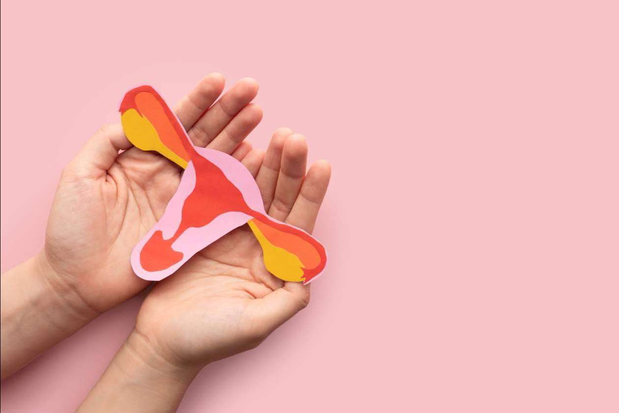 ¿Por qué se necesita un abordaje multidisciplinar para la adenomiosis y endometriosis?, por Carmen de Endosofía