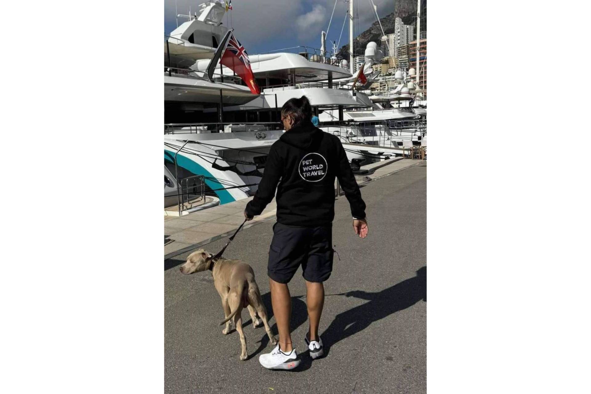 El Traslado de Mascotas, un servicio esencial en el mundo moderno