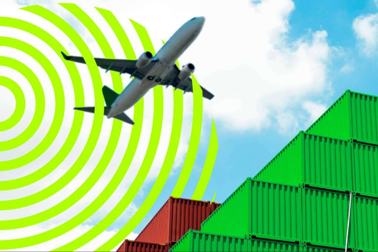 ¡Celebrar el Día Mundial del Medio Ambiente con Eccologistics!