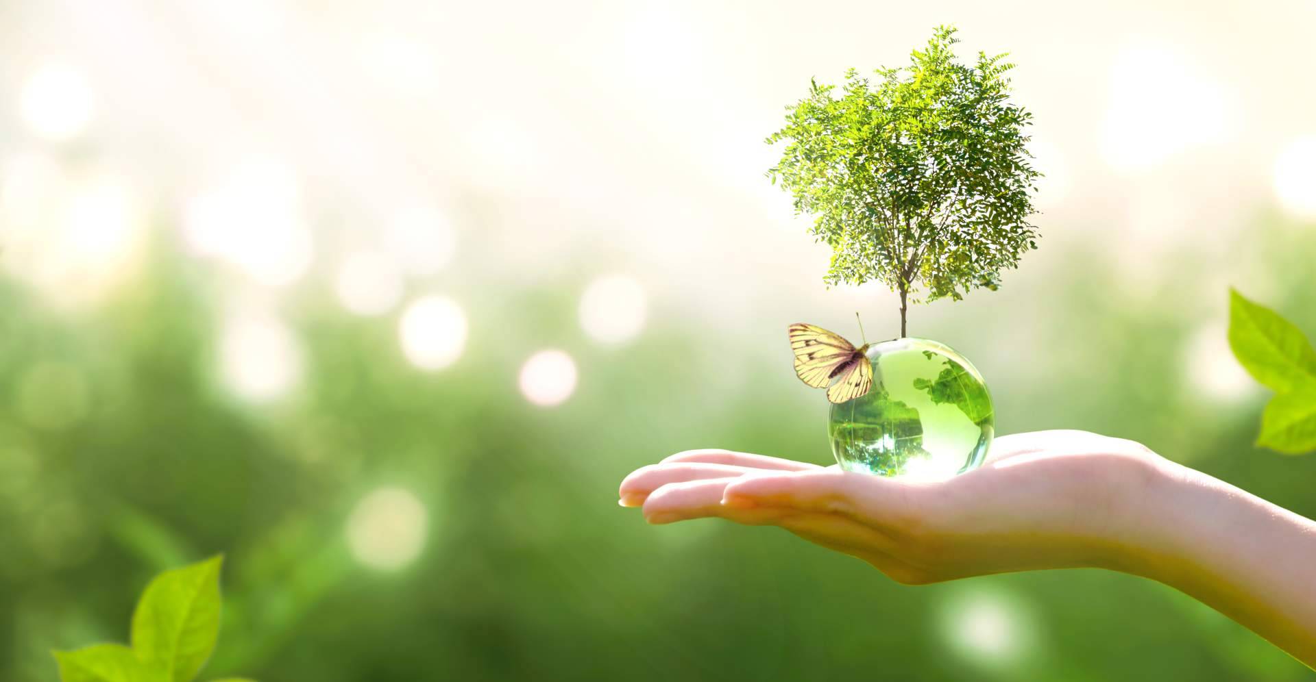 Multienergía Verde apuesta por la ecoeficiencia