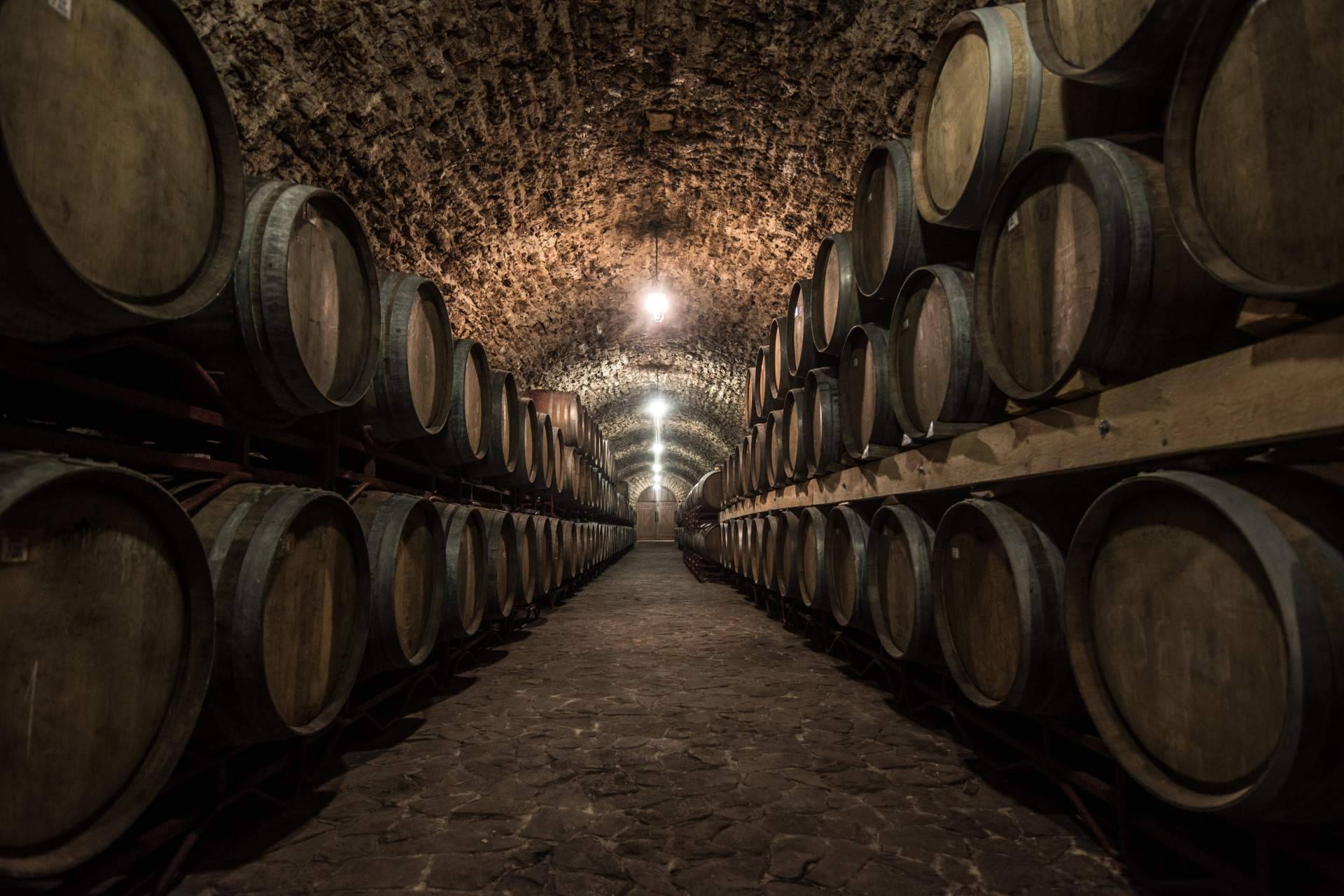Emilio Moro; Una de las mejores elecciones para los amantes del buen vino