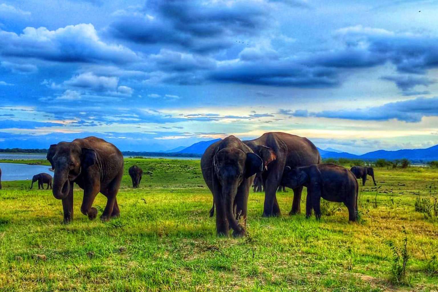 Descubrir Sri Lanka en 2024 gracias a Viajes Eden