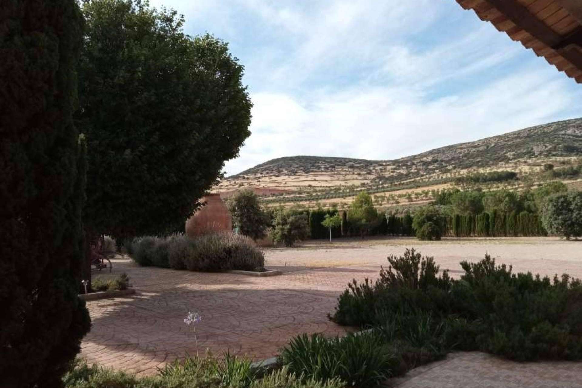 A la venta una finca en Moral de Calatrava por 1.8 millones de euros