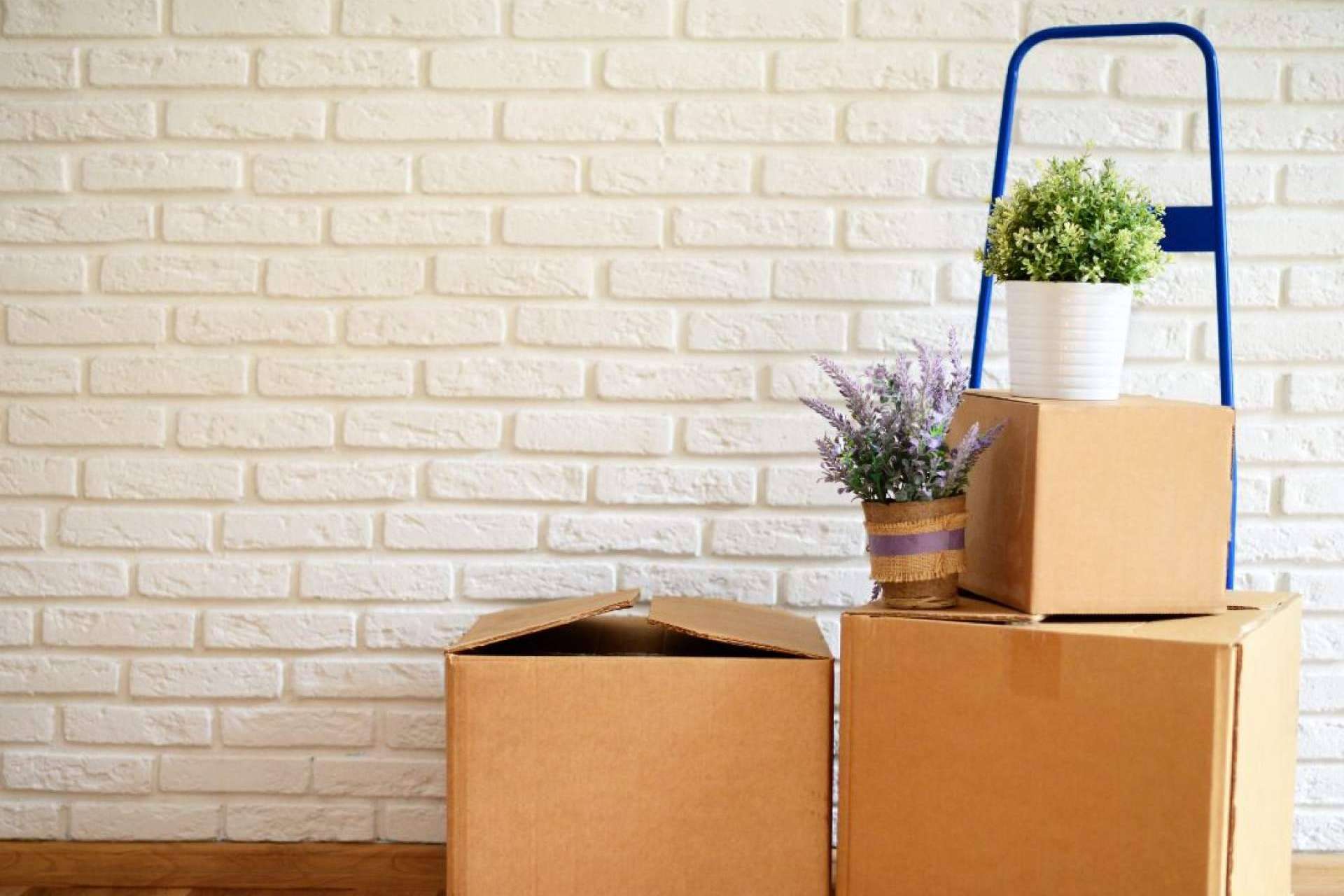 Servicios especializado en mudanzas internacionales, con Mudanzas BCN Internacional