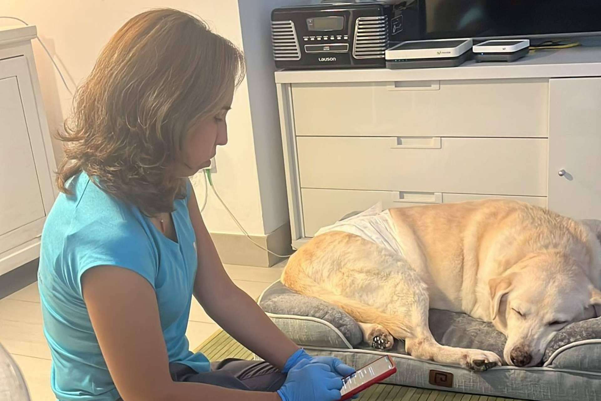 Cuidando Patas en cada hogar; El viaje de una veterinaria con corazón itinerante en Sevilla
