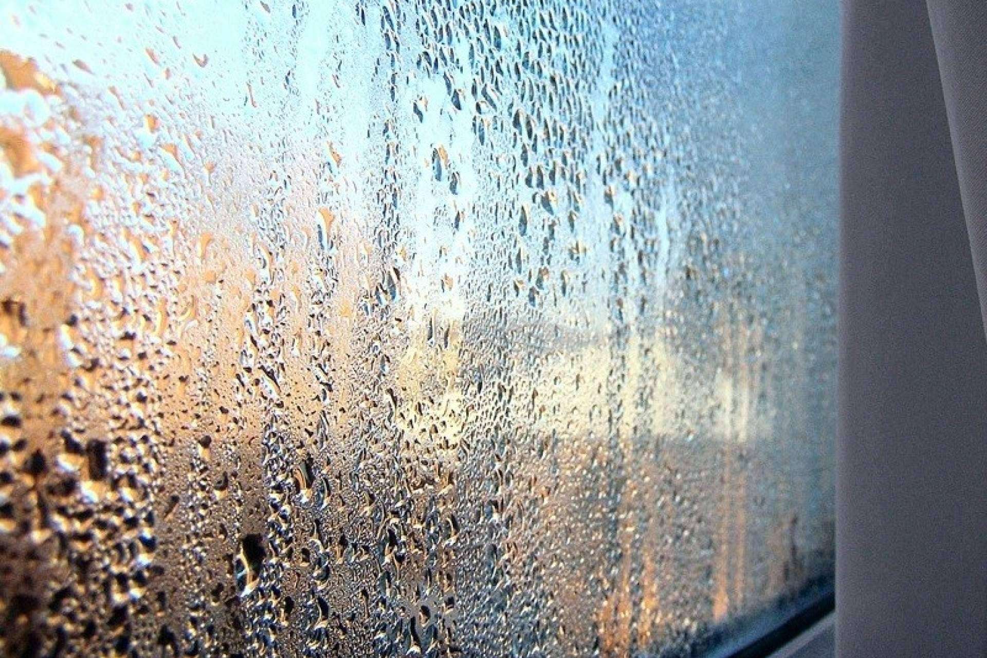 Humedad y calidad del aire; La clave para proteger la salud y el hogar