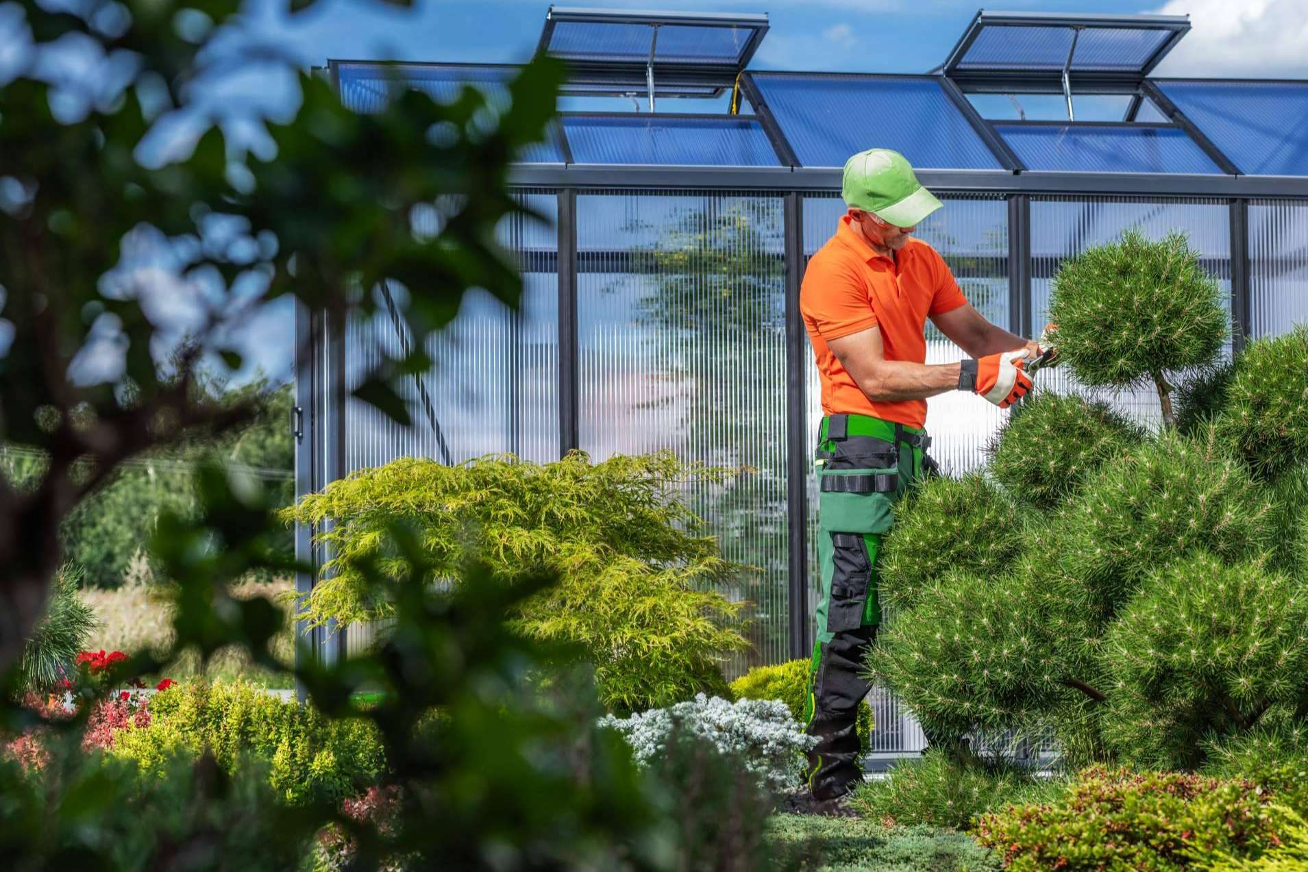 Innovación y excelencia en jardinería para una Barcelona más verde
