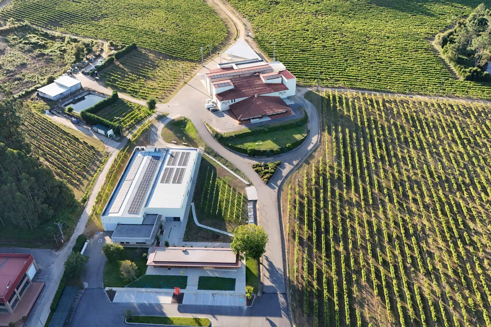 Difersa & Primavinia S.A. y Bodegas Terras Gauda S.A. firman un acuerdo de distribución exclusiva en Pontevedra