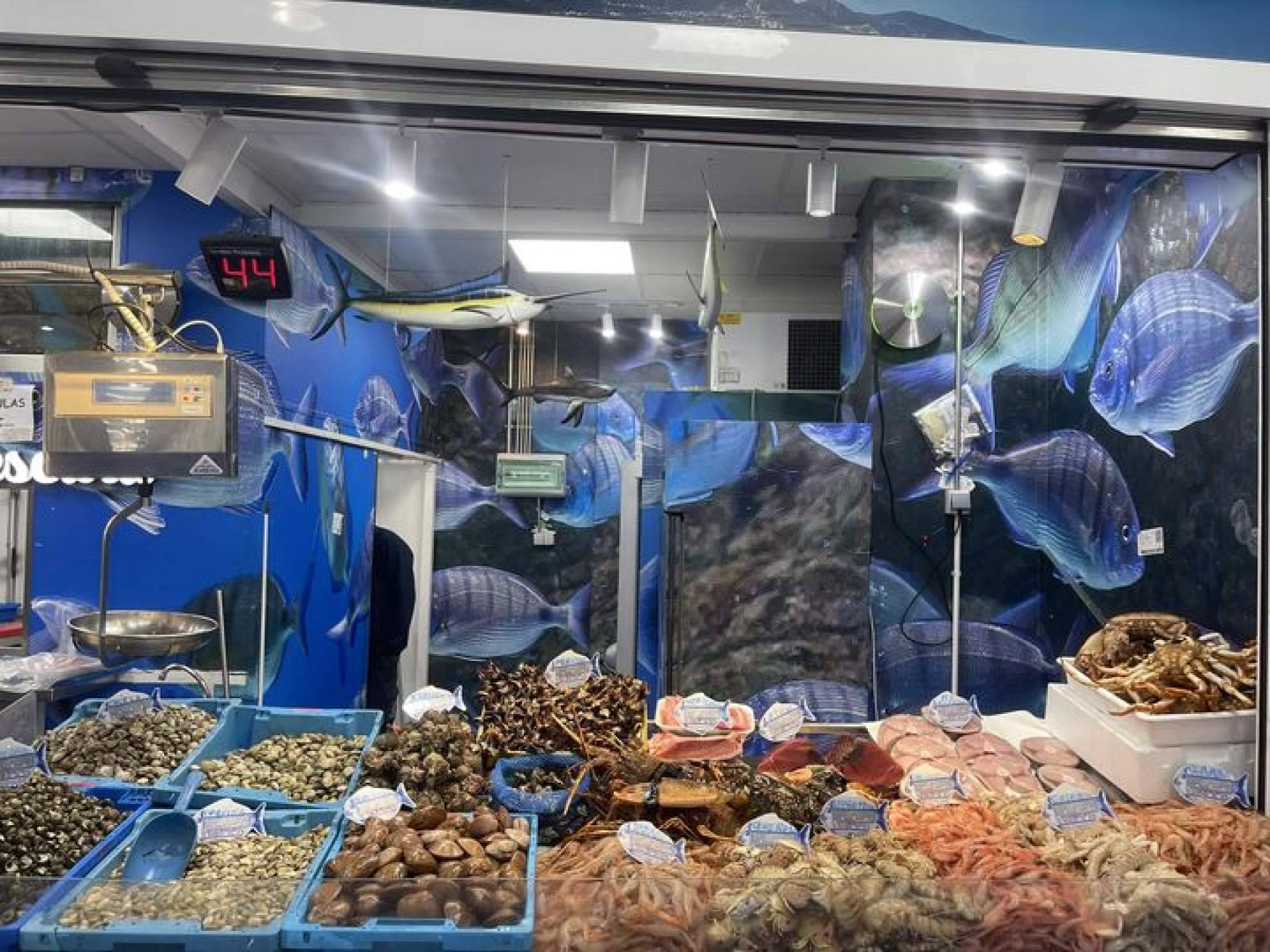 Pescadería Younes apuesta por el marisco vivo en Ceuta con vivero propio y producto de lonjas seleccionadas