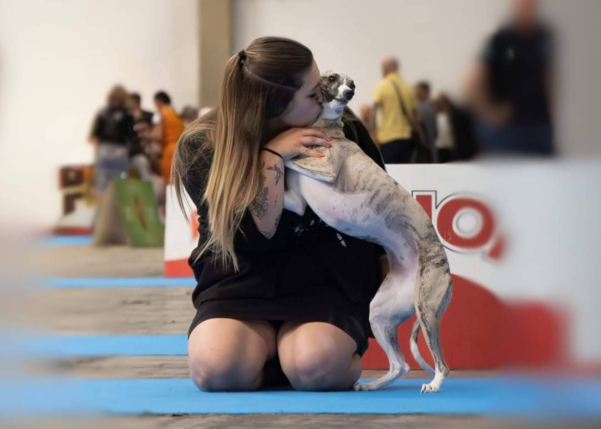 Copa de Criadores 2025; Ética, genética y bienestar en la elección del mejor perro del año