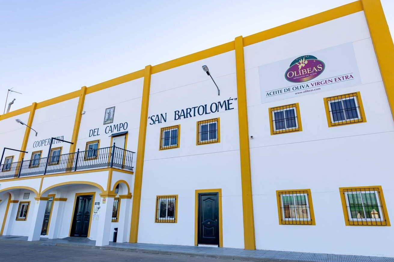 Aceite de oliva de nueva cosecha; claves para elegir calidad y origen