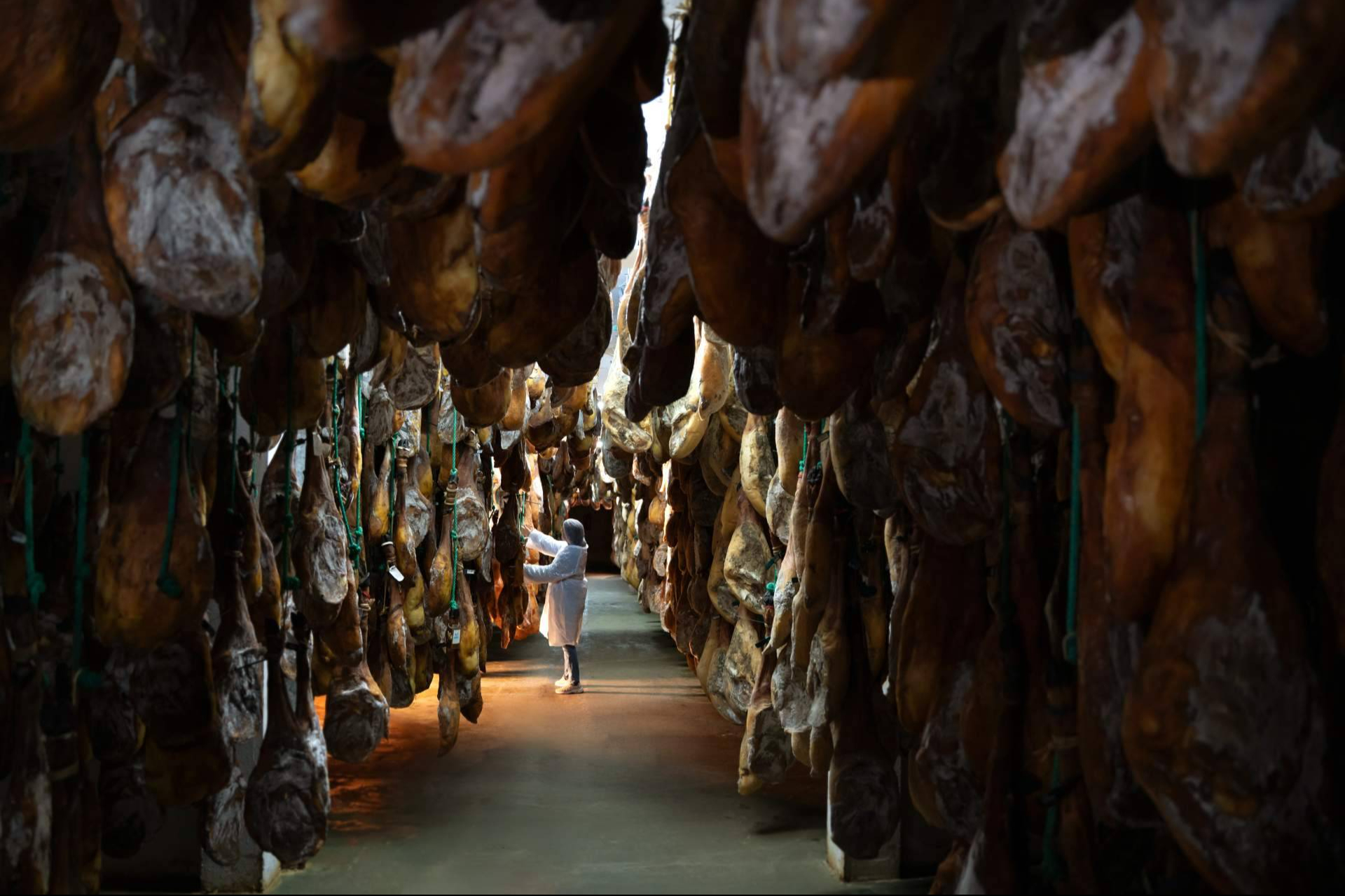 DOP Los Pedroches certifica 69.577 piezas en el año 2025 y consolida su apuesta por el Bellota Ibérico 100%