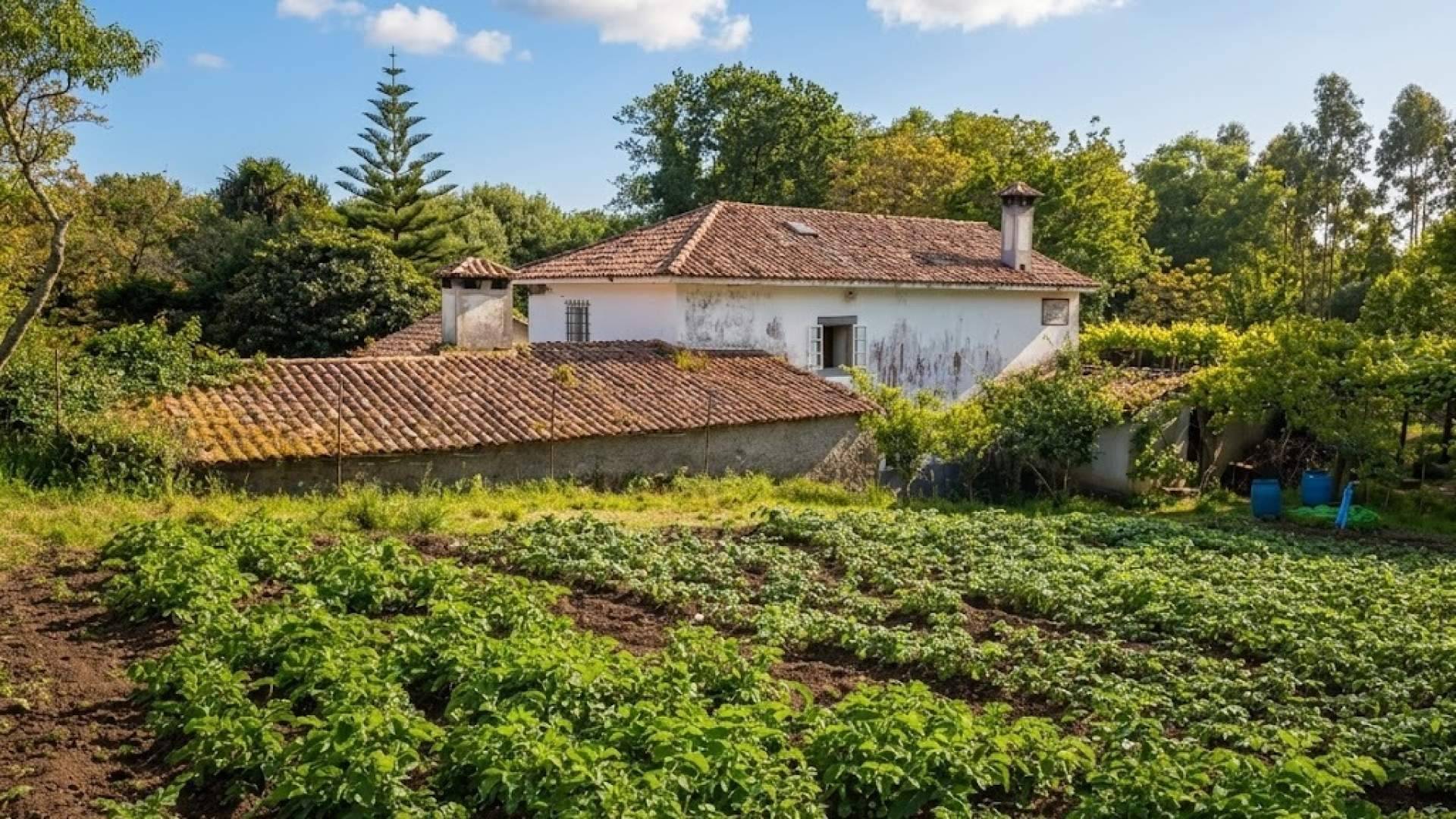SC Inmobiliarias ofrece la oportunidad de vivir en un molino del siglo XIX en activo a orillas del río Freixeiro de Narón