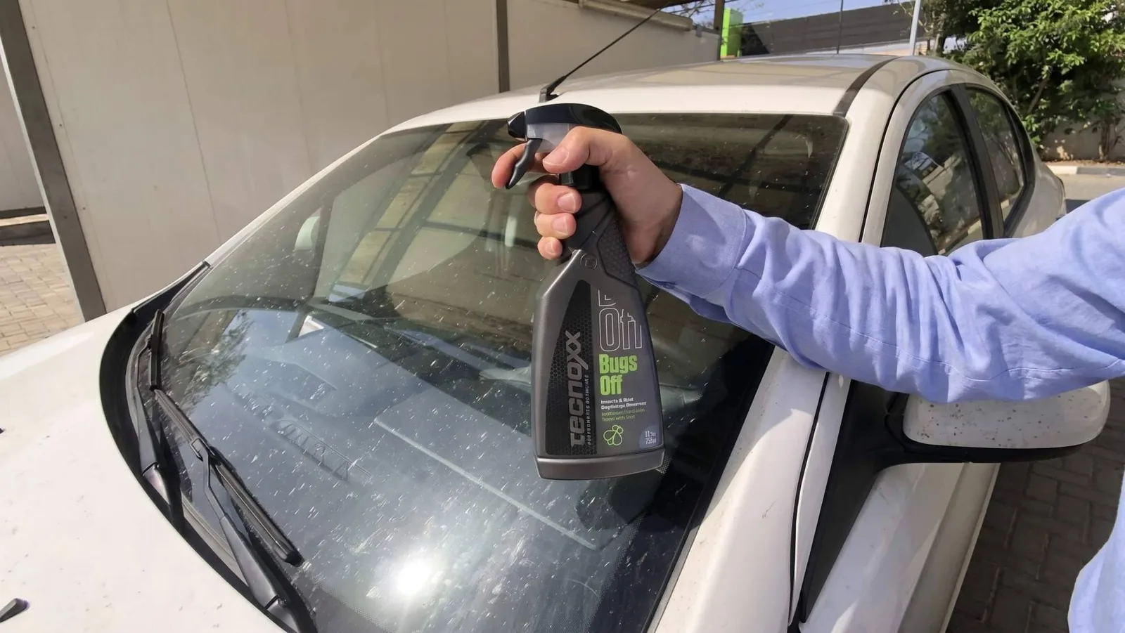 Las ventas de antiinsectos para coche se multiplican por diez en verano, según datos de Tecnoxx