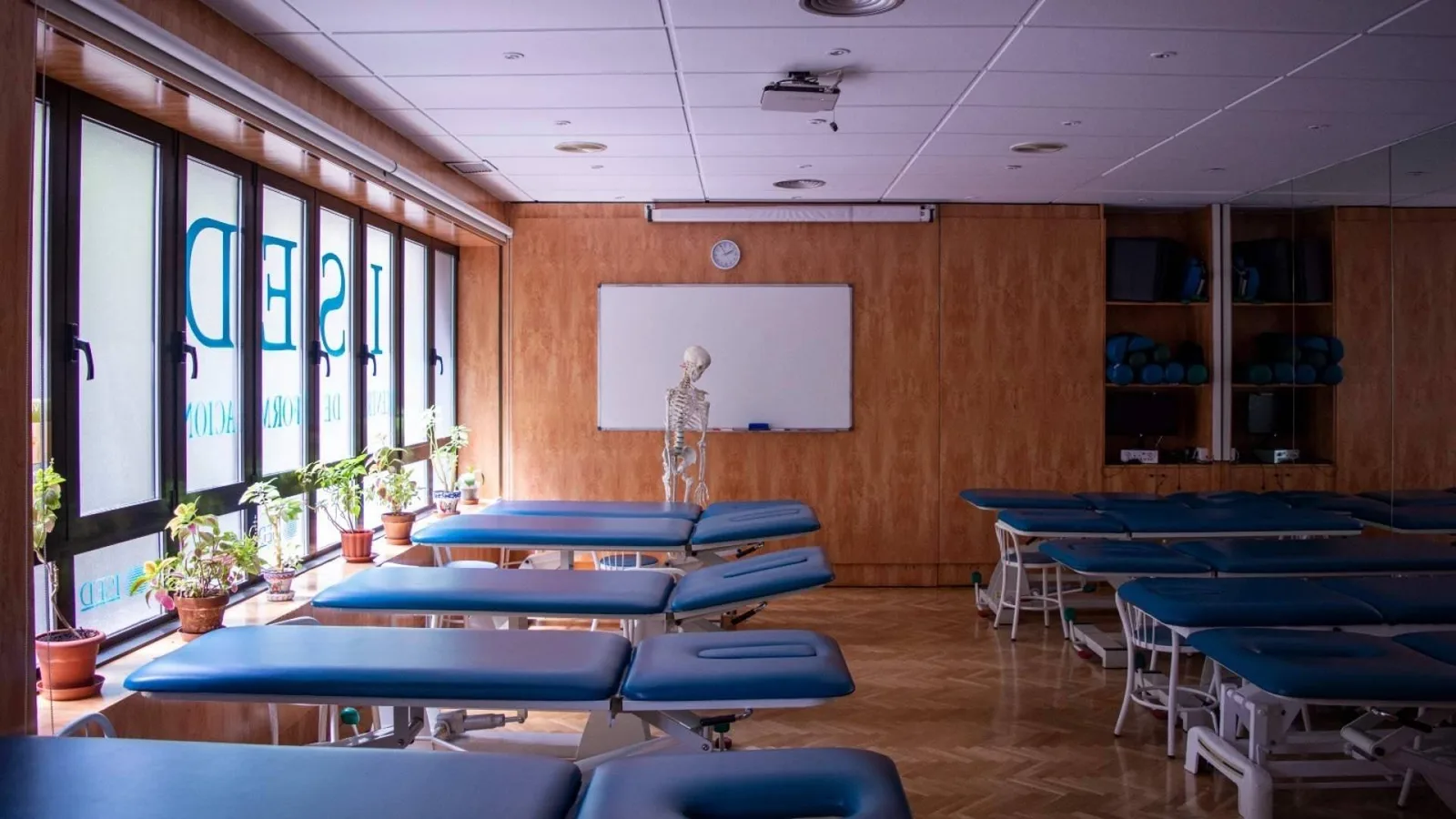 El Máster en Nutrición, Deporte y Salud de ISED Expert llegará a Madrid en octubre de 2026