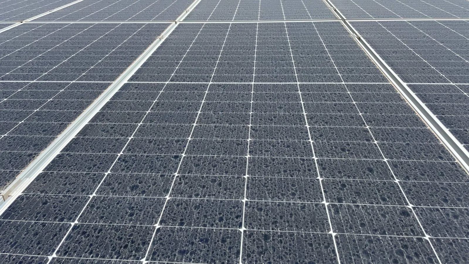 BayWa r.e. optimiza la producción de energía renovable mediante la limpieza de módulos solares en suelo